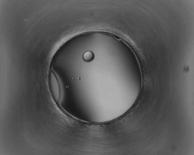 X0000091231512200708231642
