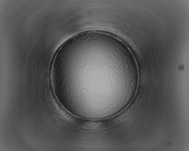 X0000091231513200708231643