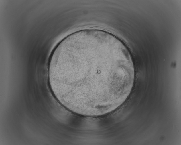 X0000091231514200708231643