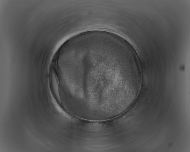 X0000091231515200708231643