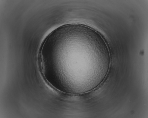 X0000091231517200708231643