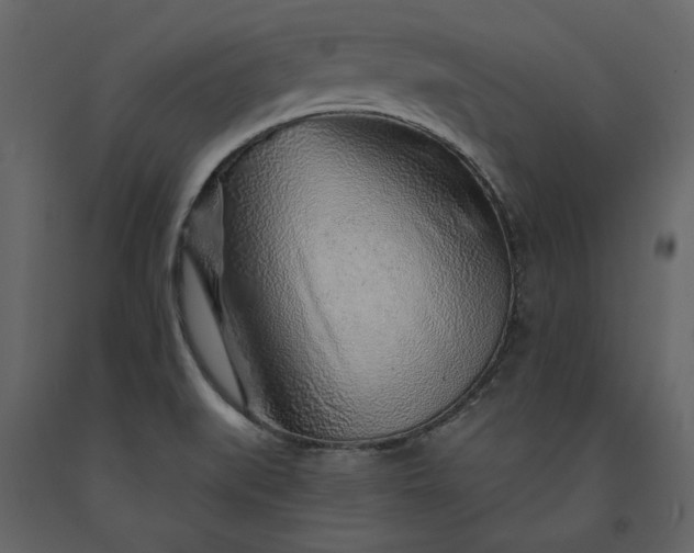 X0000091231519200708231643
