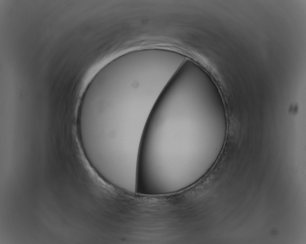 X0000091231520200708231643