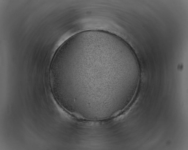 X0000091231521200708231643