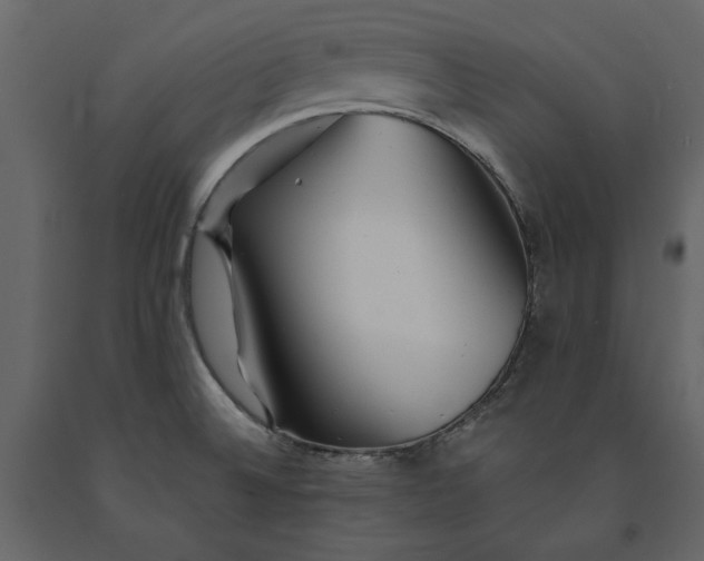 X0000091231524200708231643