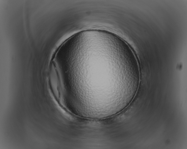 X0000091231525200708231643