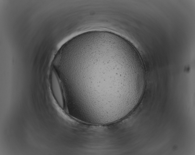 X0000091231526200708231643