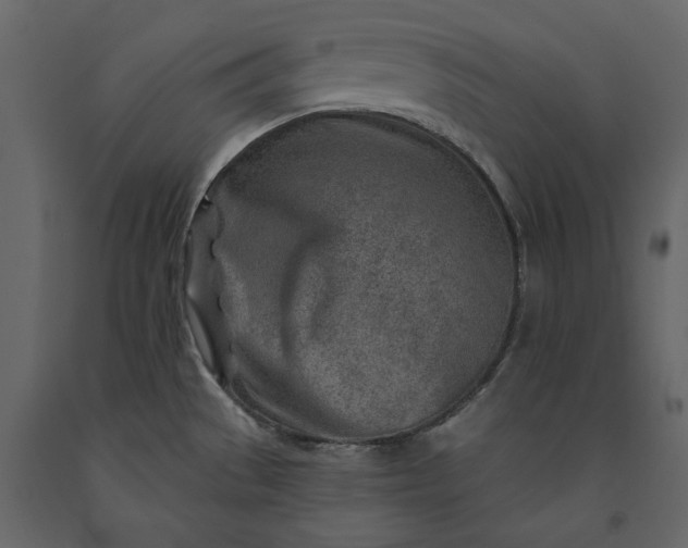 X0000091231529200708231643