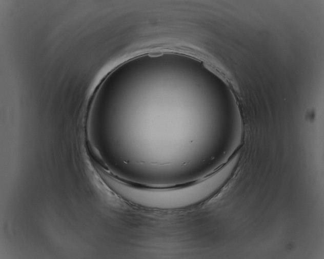 X0000091231530200708231643