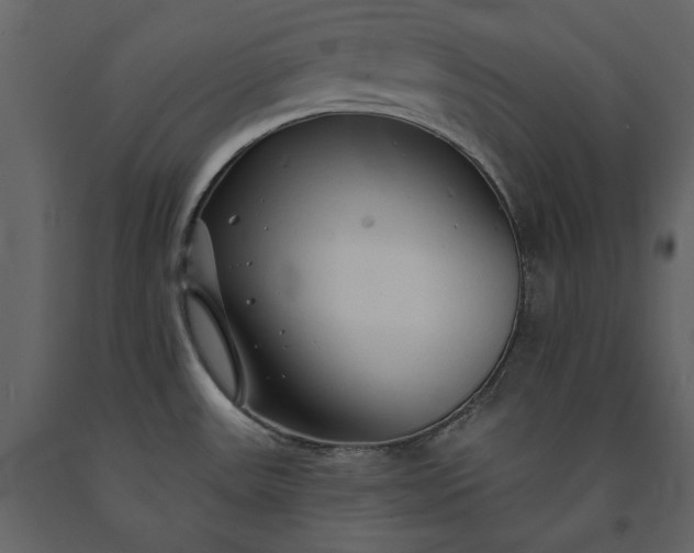 X0000091231531200708231643