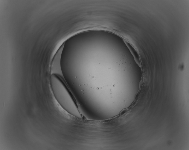 X0000091231532200708231643