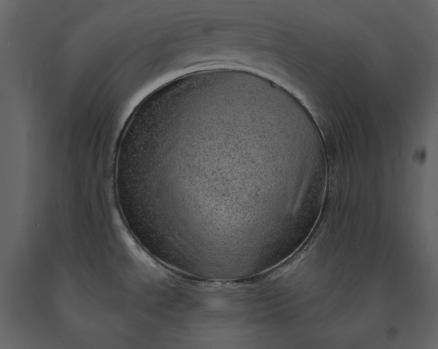 X0000091231534200708231643
