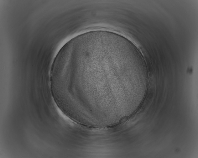 X0000091231535200708231643