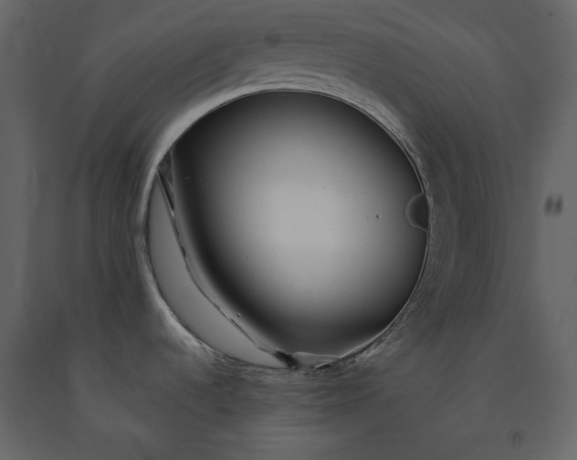 X0000091231536200708231643