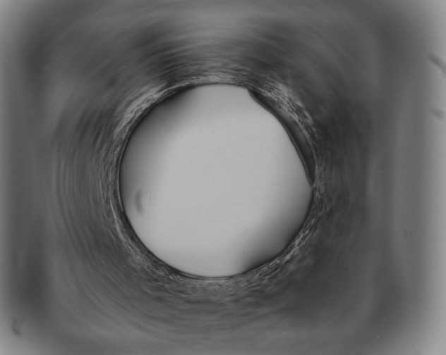 X0000091230001200708301526