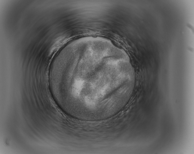 X0000091230002200708301526