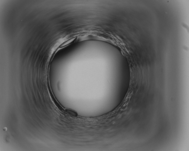 X0000091230003200708301526