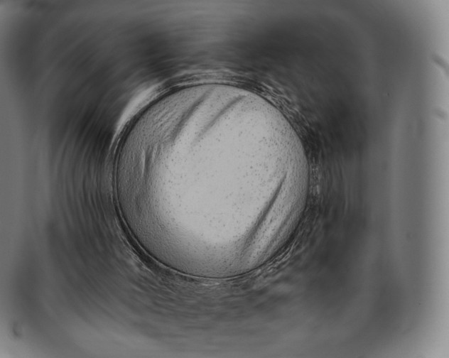 X0000091230004200708301526