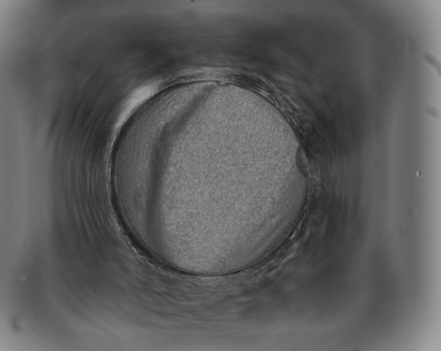 X0000091230006200708301526