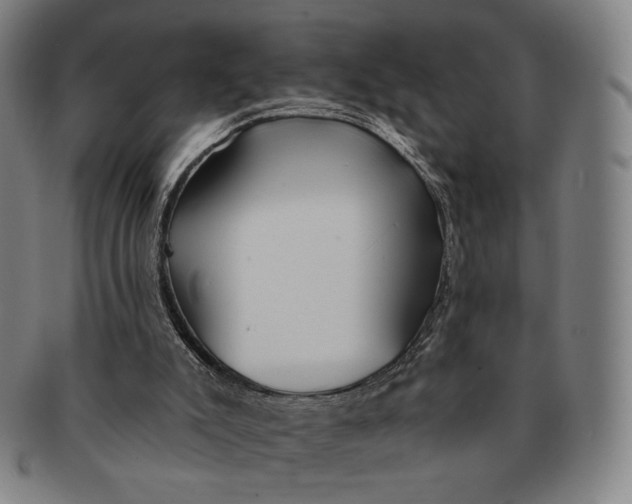 X0000091230007200708301526