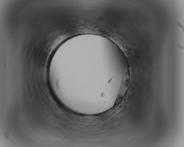 X0000091230008200708301526