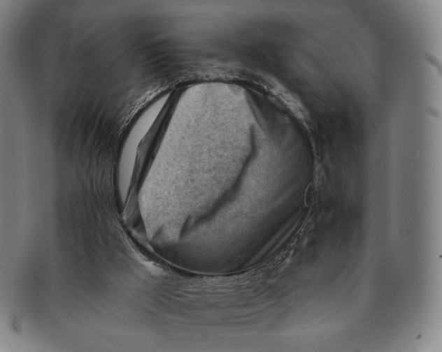 X0000091230009200708301526