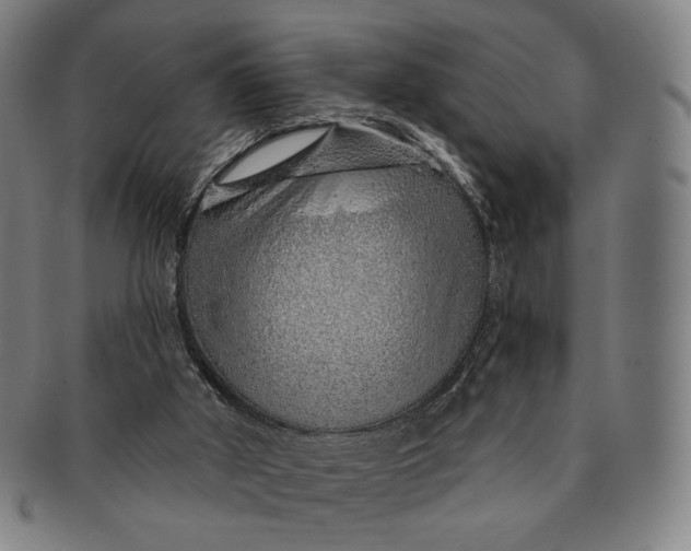 X0000091230010200708301526