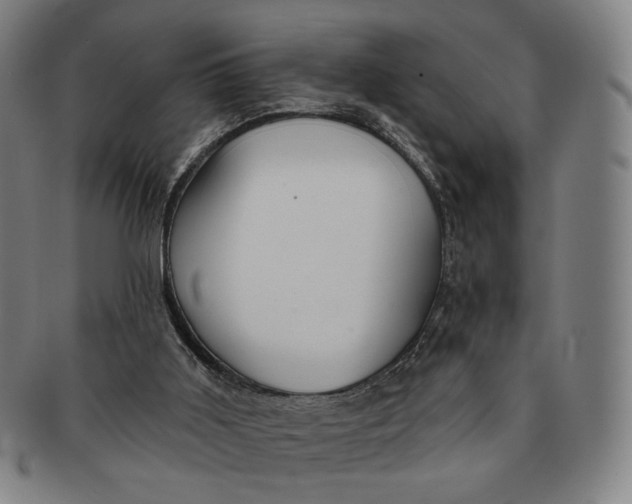 X0000091230011200708301526