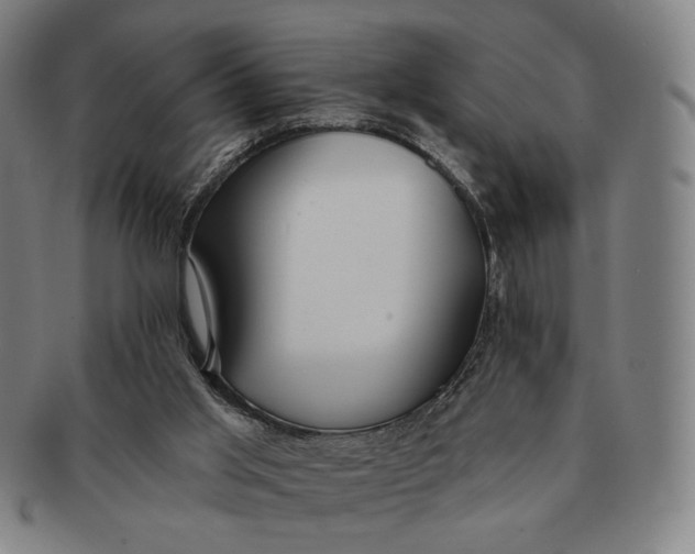 X0000091230013200708301526