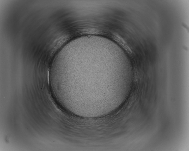 X0000091230014200708301526