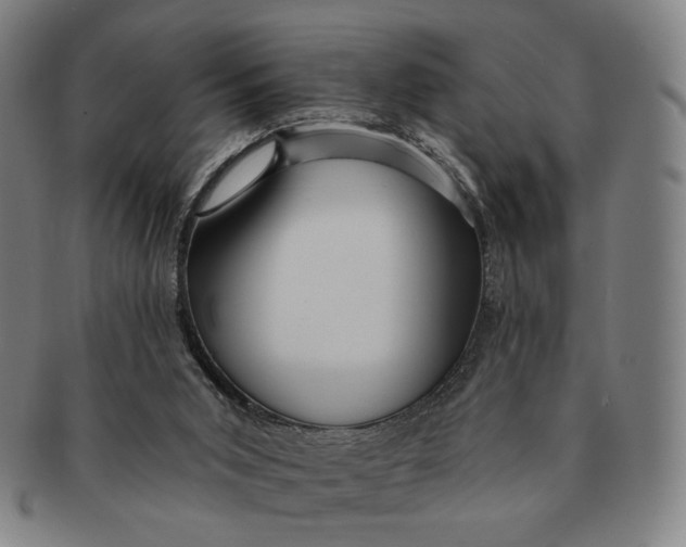 X0000091230015200708301526