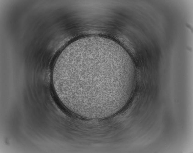 X0000091230016200708301526
