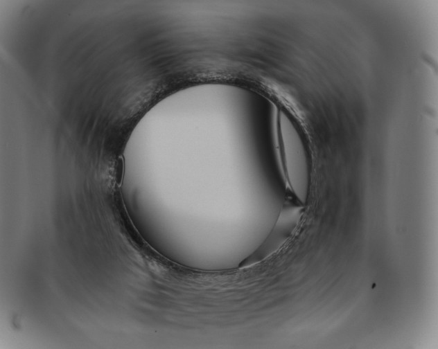 X0000091230017200708301526