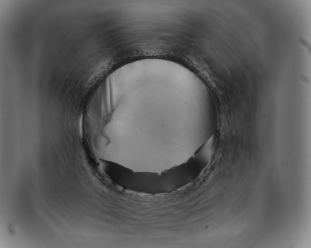 X0000091230019200708301526