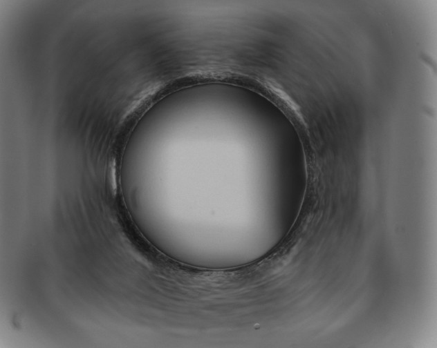 X0000091230020200708301526