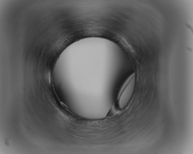 X0000091230021200708301526