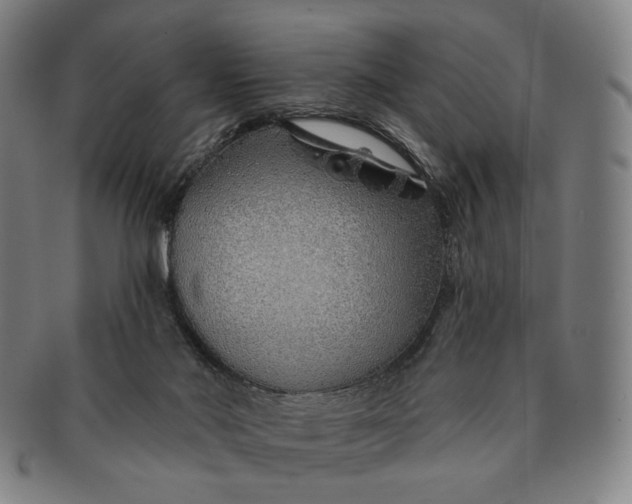 X0000091230022200708301526