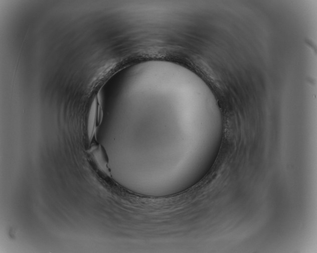 X0000091230023200708301526