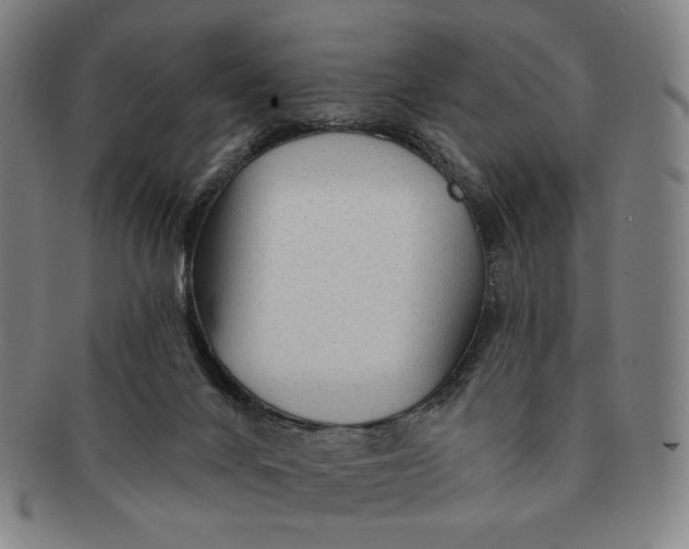 X0000091230024200708301526