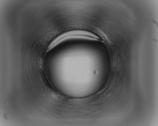 X0000091230025200708301526