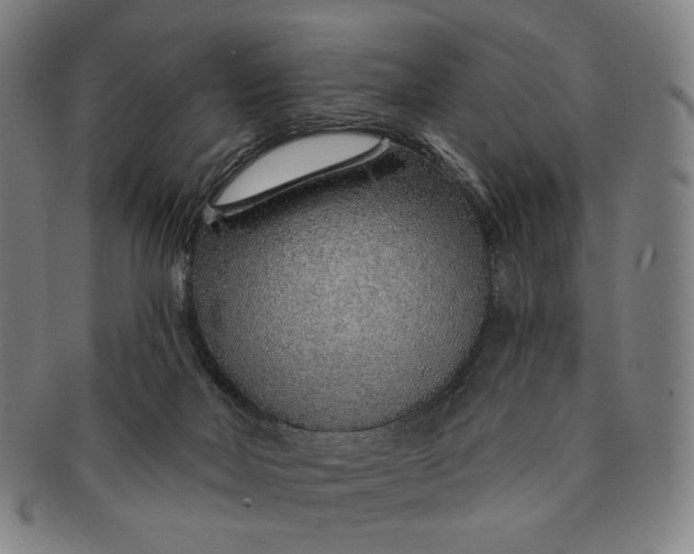 X0000091230026200708301526