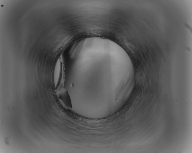 X0000091230027200708301526
