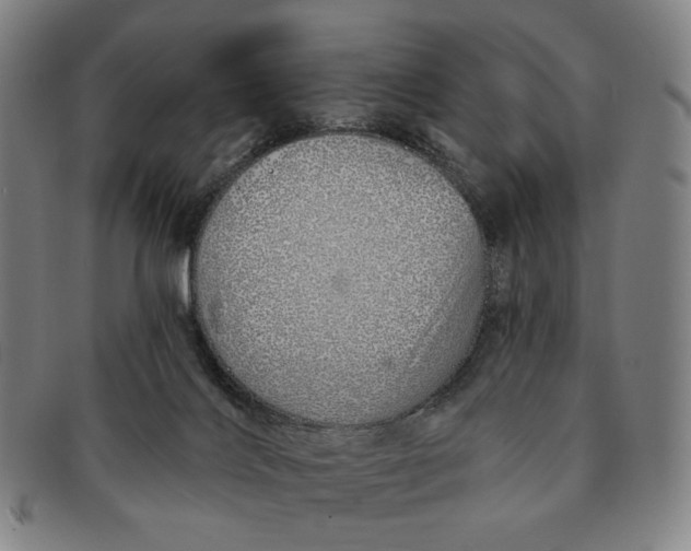 X0000091230028200708301526