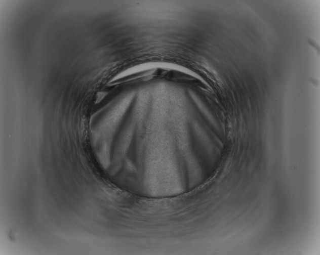 X0000091230029200708301526