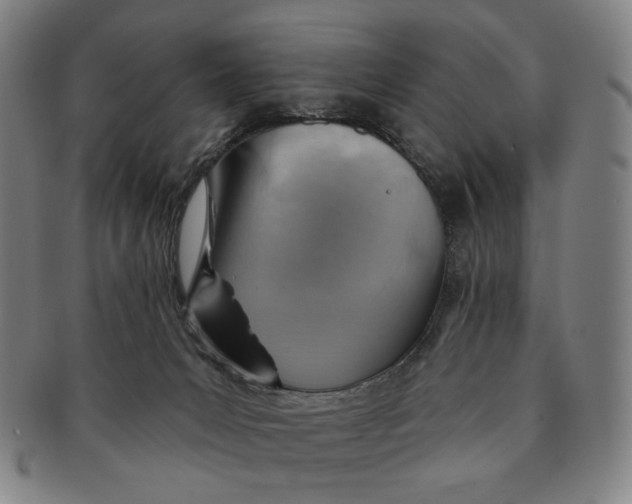 X0000091230031200708301526