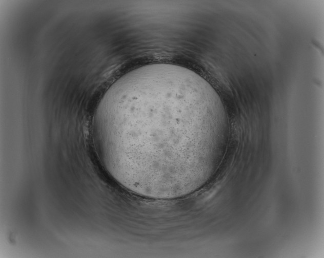 X0000091230032200708301526