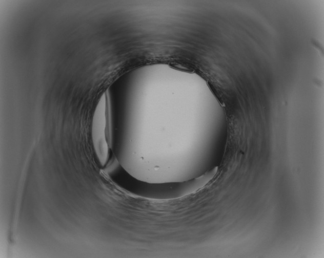 X0000091230033200708301526
