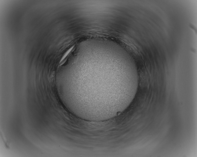 X0000091230034200708301526