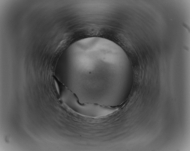 X0000091230035200708301526