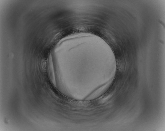 X0000091230036200708301526